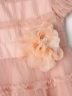 Angel & Rocket Pink Clara Pleated Mesh Corsage Dress