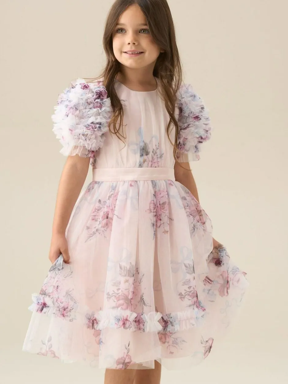 Angel & Rocket Florence Blush Ruffle Sleeve Mesh Dress Pink