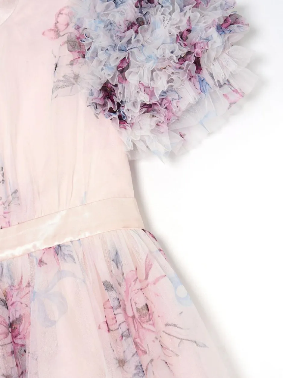 Angel & Rocket Florence Blush Ruffle Sleeve Mesh Dress Pink