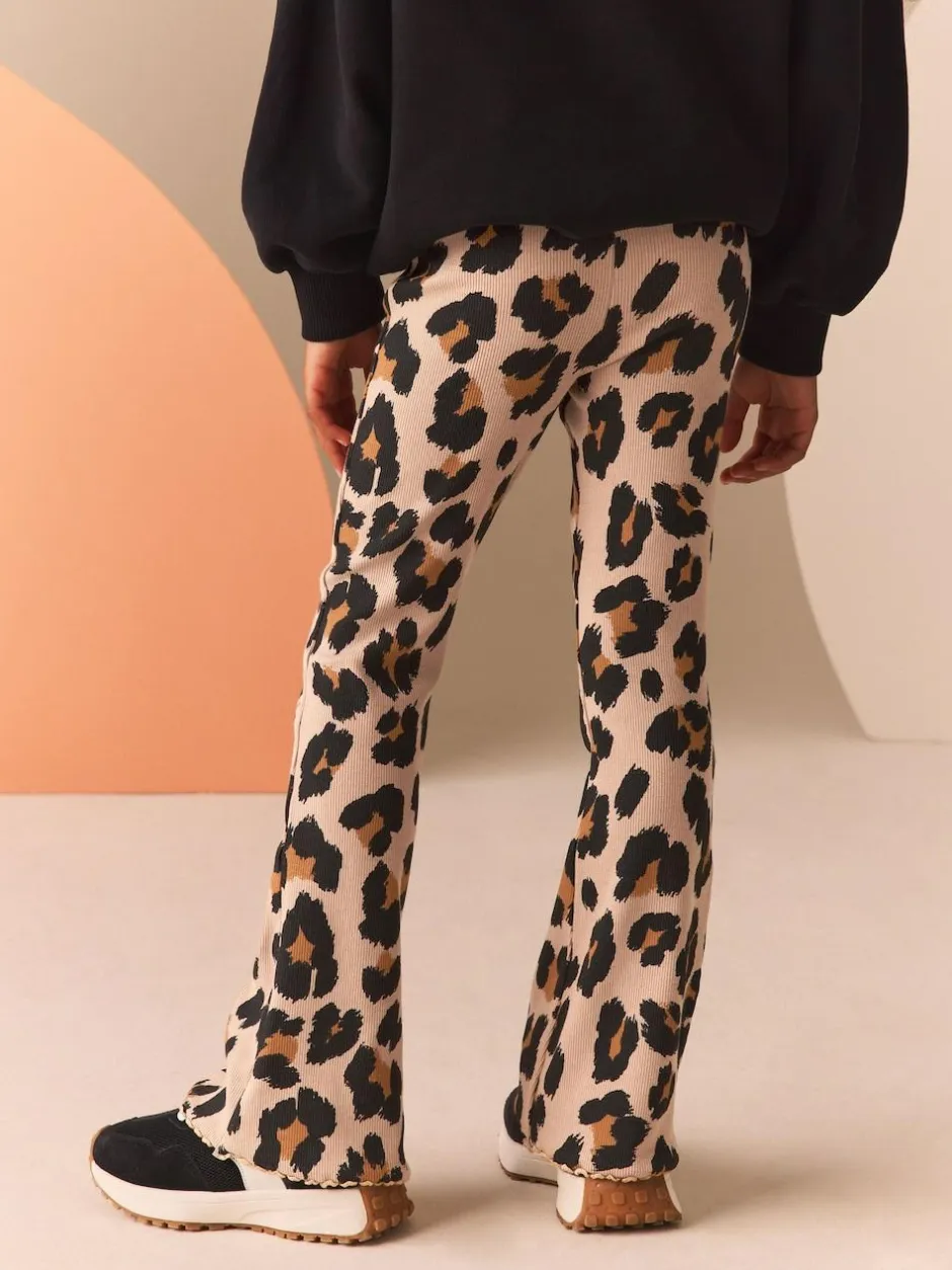Next Animal 1 Pack Rib Flare Leggings (3-16yrs) Outlet