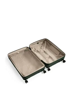 Antler Large Single Stripe Luggage Green