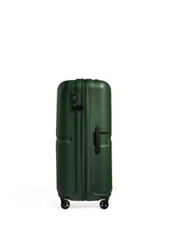 Antler Large Single Stripe Luggage Green