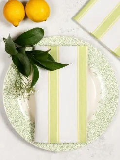 Avalon Home Multi Ticking Stripe Napkins Set of 2 Sale