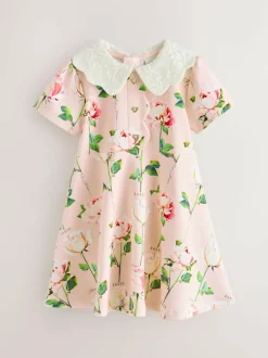 Baker by Ted Baker Lace Collared Ponte Dress Pink Clearance