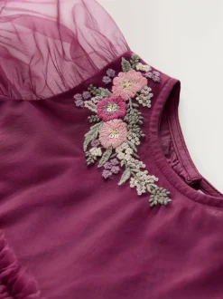 Next Berry Red Embroidered Mesh Party Dress (3mths-8yrs) Hot