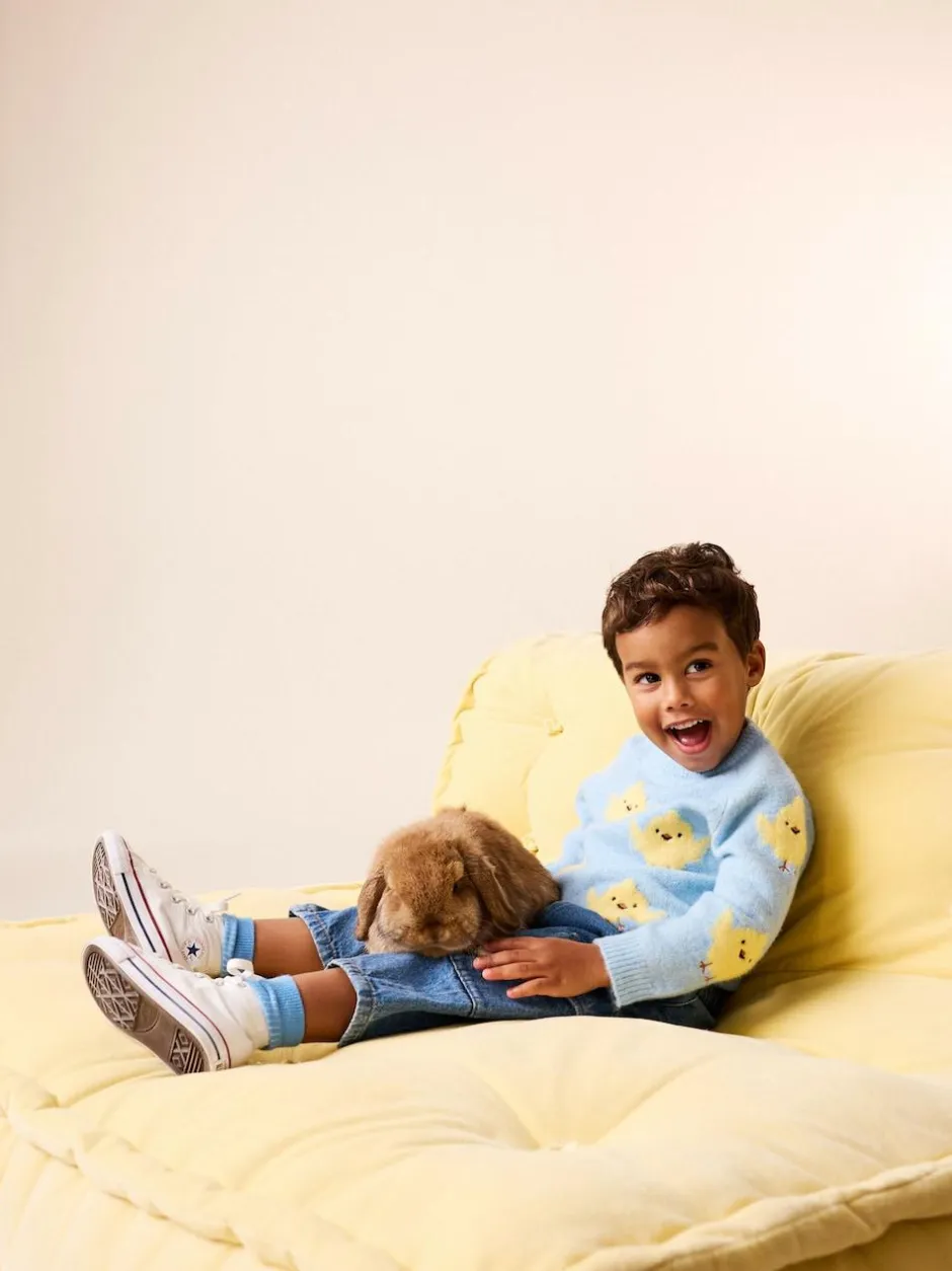 Next Knitted Crew Neck Jumper (3mths-7yrs) Blue Chick Outlet