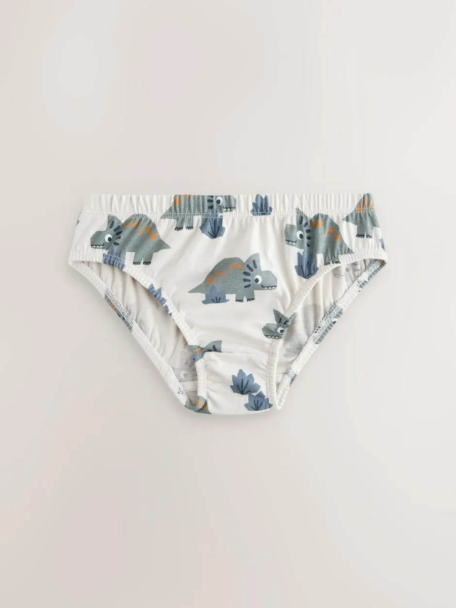 Next 100% Cotton Printed Briefs 5 Pack (1.5-10yrs) Blue Dinosaur Best
