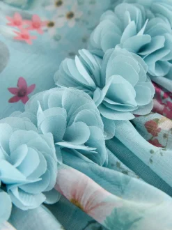 Next Flower Corsage Dress (3mths-8yrs) Blue New