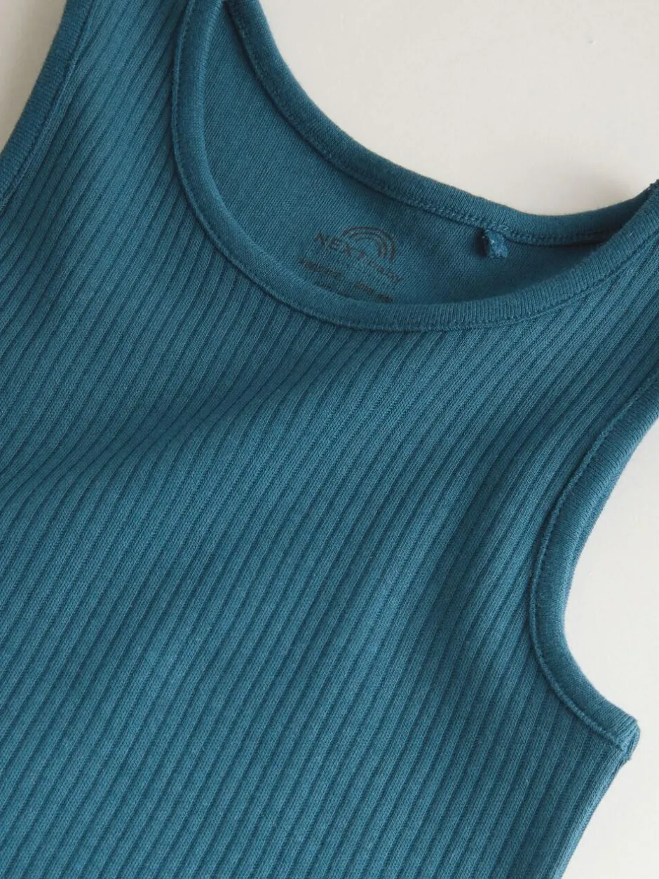 Next Blue Vest Baby Bodysuits 5 Pack Discount