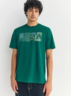 Next Blue/Green/Pink Regular Fit Graphic Print T-Shirts 3 Pack New