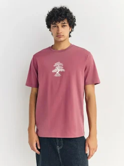 Next Blue/Green/Pink Regular Fit Graphic Print T-Shirts 3 Pack New