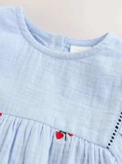 Next Blue/Red Baby Long Sleeve Embroidered Dress (0mths-2yrs)