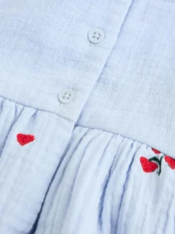Next Blue/Red Baby Long Sleeve Embroidered Dress (0mths-2yrs)