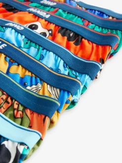 Next Cotton Briefs 7 Pack (1.5-10yrs) Bright Animals Discount