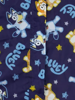 Character Blue Bluey And Bingo Puddlesuit Online