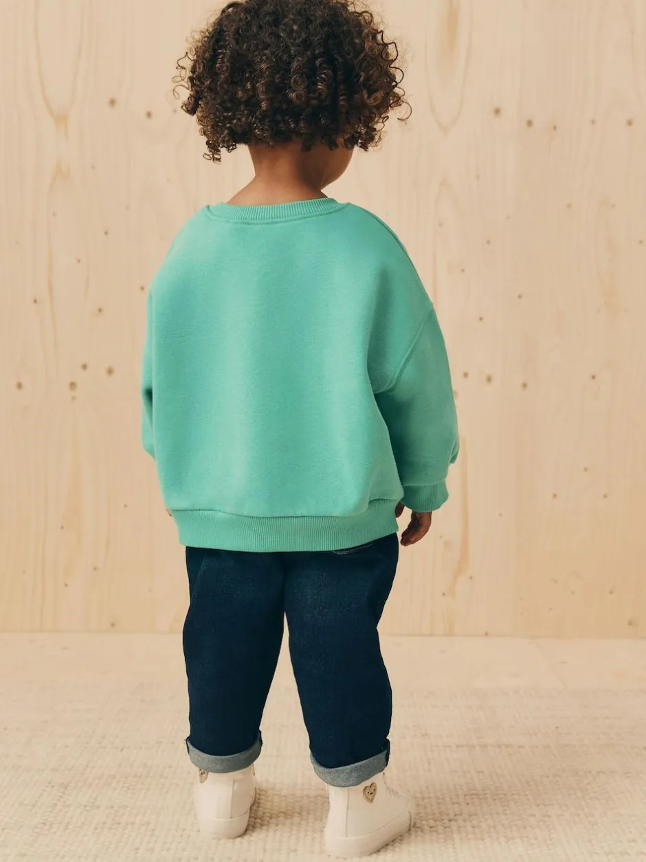 Next Green Cat Crew Neck Sweatshirt (3mths-7yrs) New