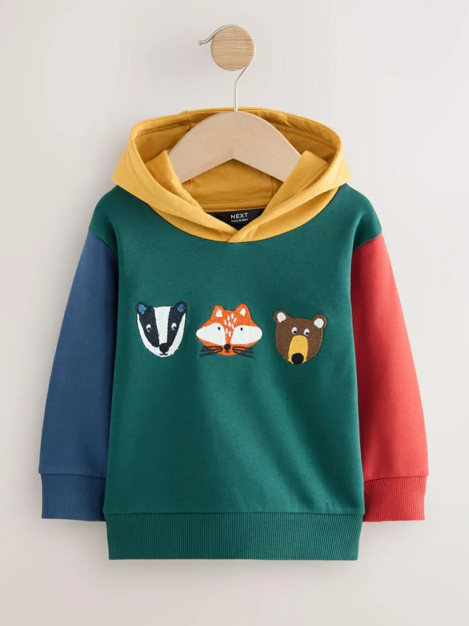 Next Green Colourblock Long Sleeve Printed Hoodie (3mths-7yrs) Online