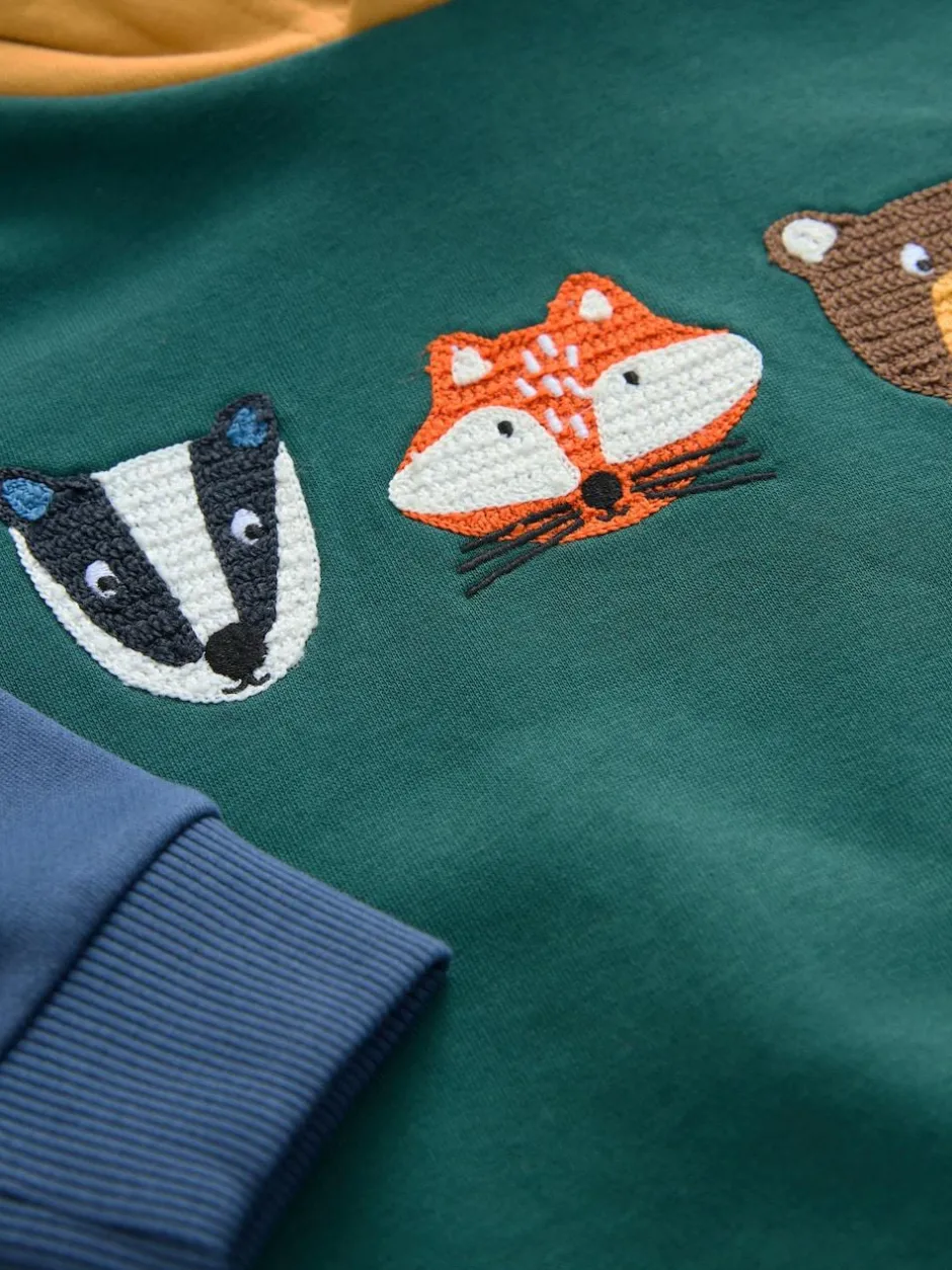 Next Green Colourblock Long Sleeve Printed Hoodie (3mths-7yrs) Online