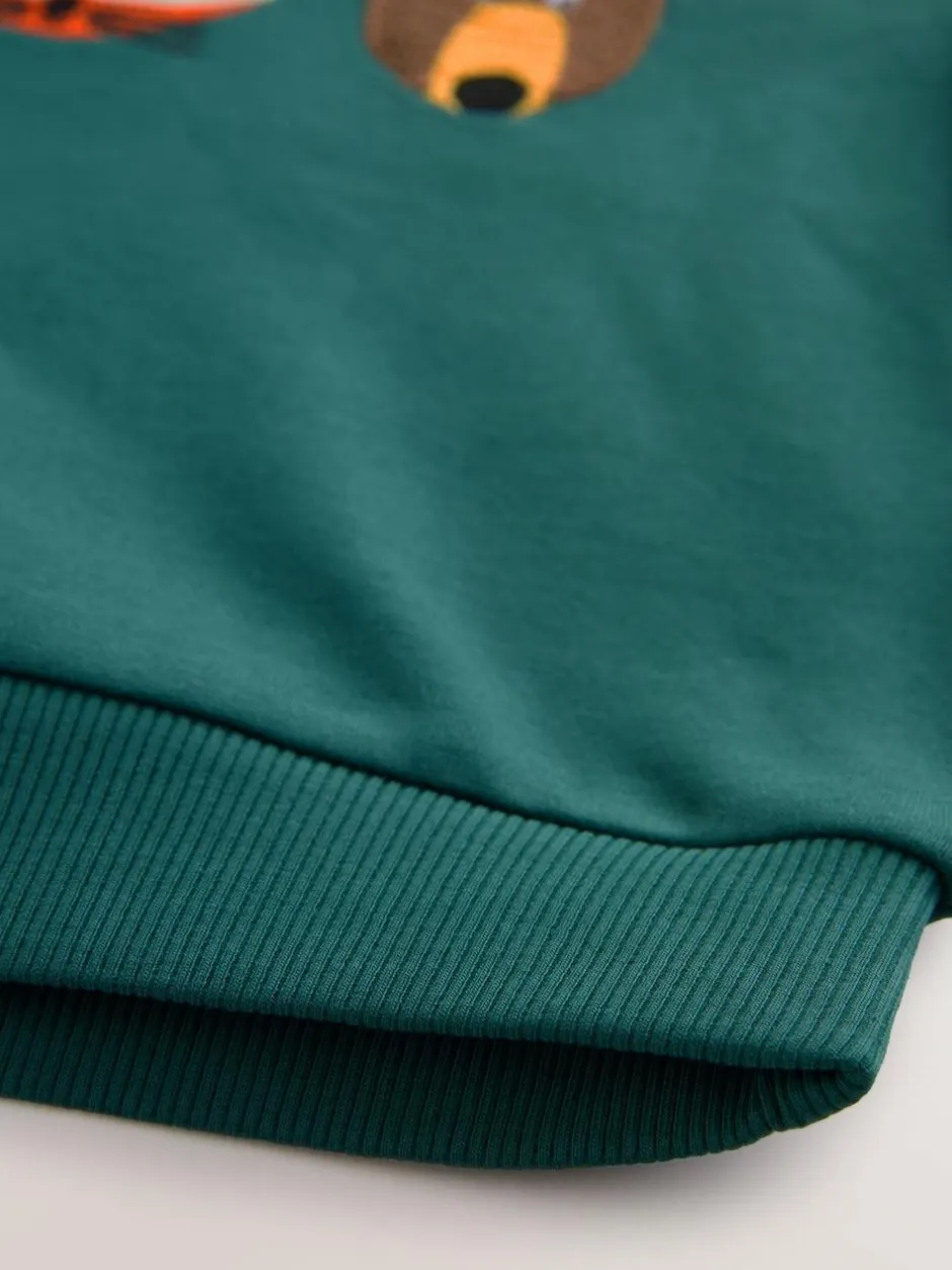 Next Green Colourblock Long Sleeve Printed Hoodie (3mths-7yrs) Online