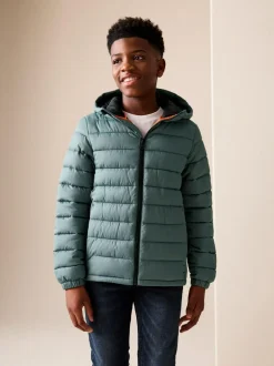 Next Green Quilted Midweight Hooded Jacket (3-16yrs) Online