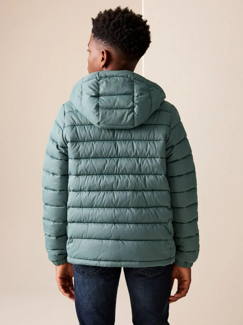 Next Green Quilted Midweight Hooded Jacket (3-16yrs) Online
