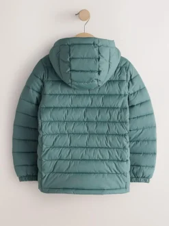 Next Green Quilted Midweight Hooded Jacket (3-16yrs) Online