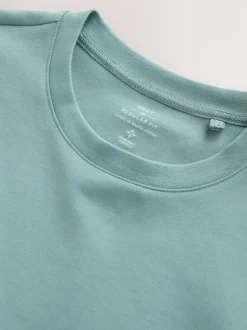 Next Green Sage Regular Fit Smart Soft Touch Heavyweight T-Shirt