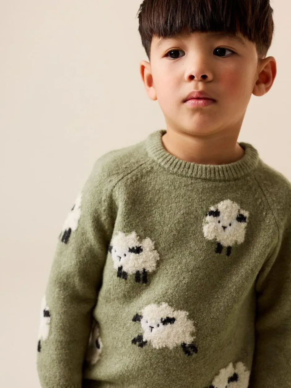 Next Knitted Crew Neck Jumper (3mths-7yrs) Green Sheep Online