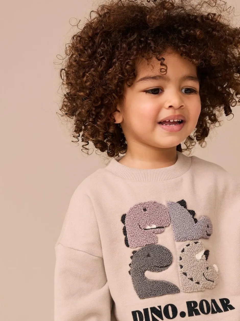 Next Grey and Charcoal Dinosaur Spike Single Sweatshirt and Joggers Set (3mths-7yrs) Clearance