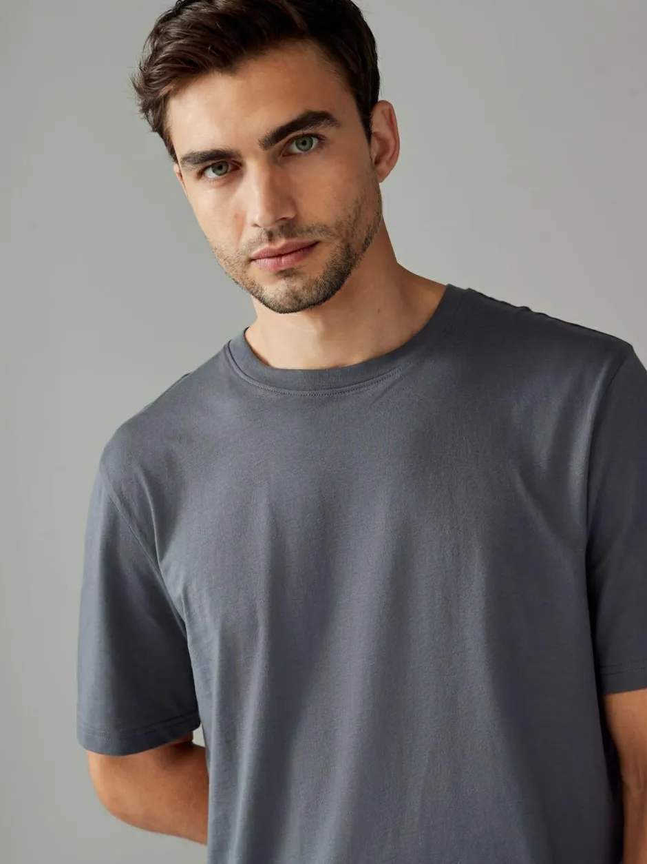 Next Grey Slate Regular Fit Essential Crew Neck Cotton T-Shirt Hot