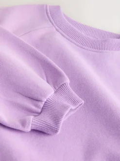 Next Lilac Purple Crew Neck Sweatshirt (3mths-7yrs) New