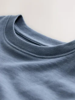 Next Mid Blue Regular Fit Long Sleeve Cosy T-Shirt (3-16yrs) Online
