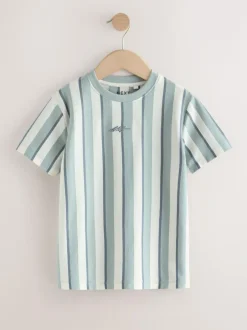 Next Mineral Stripe Regular Fit Short Sleeve Graphic Print T-Shirt (3-16yrs) Outlet