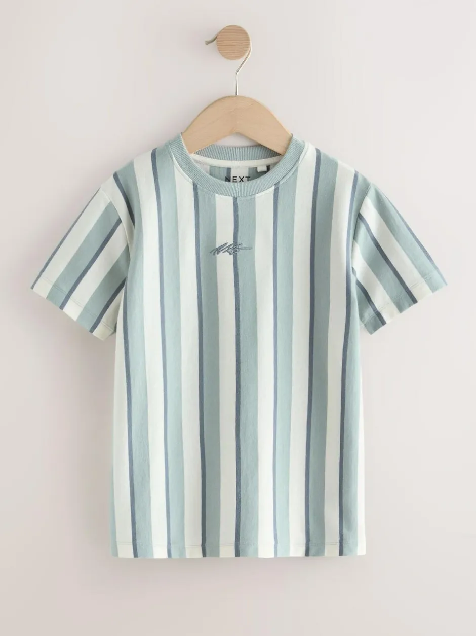 Next Mineral Stripe Regular Fit Short Sleeve Graphic Print T-Shirt (3-16yrs) Outlet