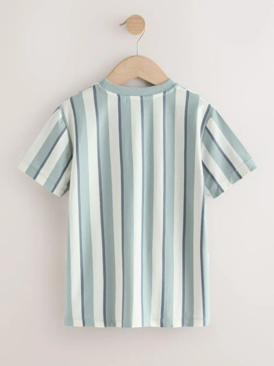 Next Mineral Stripe Regular Fit Short Sleeve Graphic Print T-Shirt (3-16yrs) Outlet