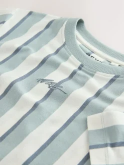 Next Mineral Stripe Regular Fit Short Sleeve Graphic Print T-Shirt (3-16yrs) Outlet