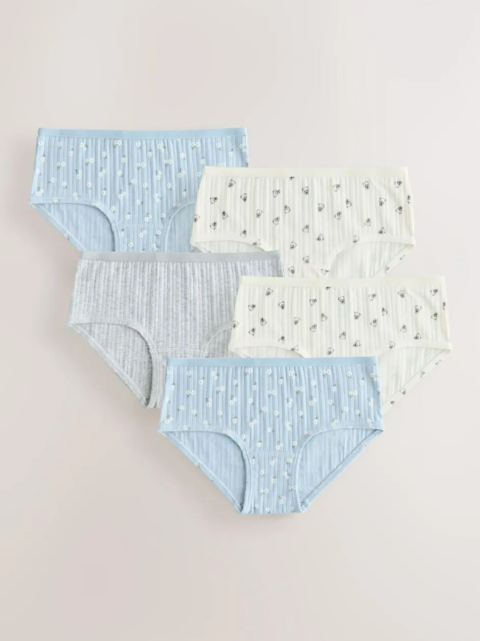 Next Mini Bear Hipsters Briefs 7 Pack (2-16yrs) New