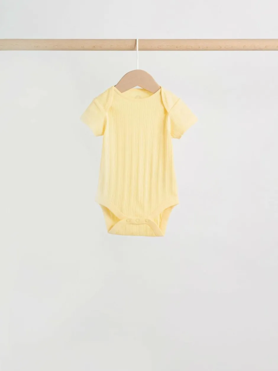 Next Multi Pastel 5 Pack Short Sleeve Baby Bodysuits Best