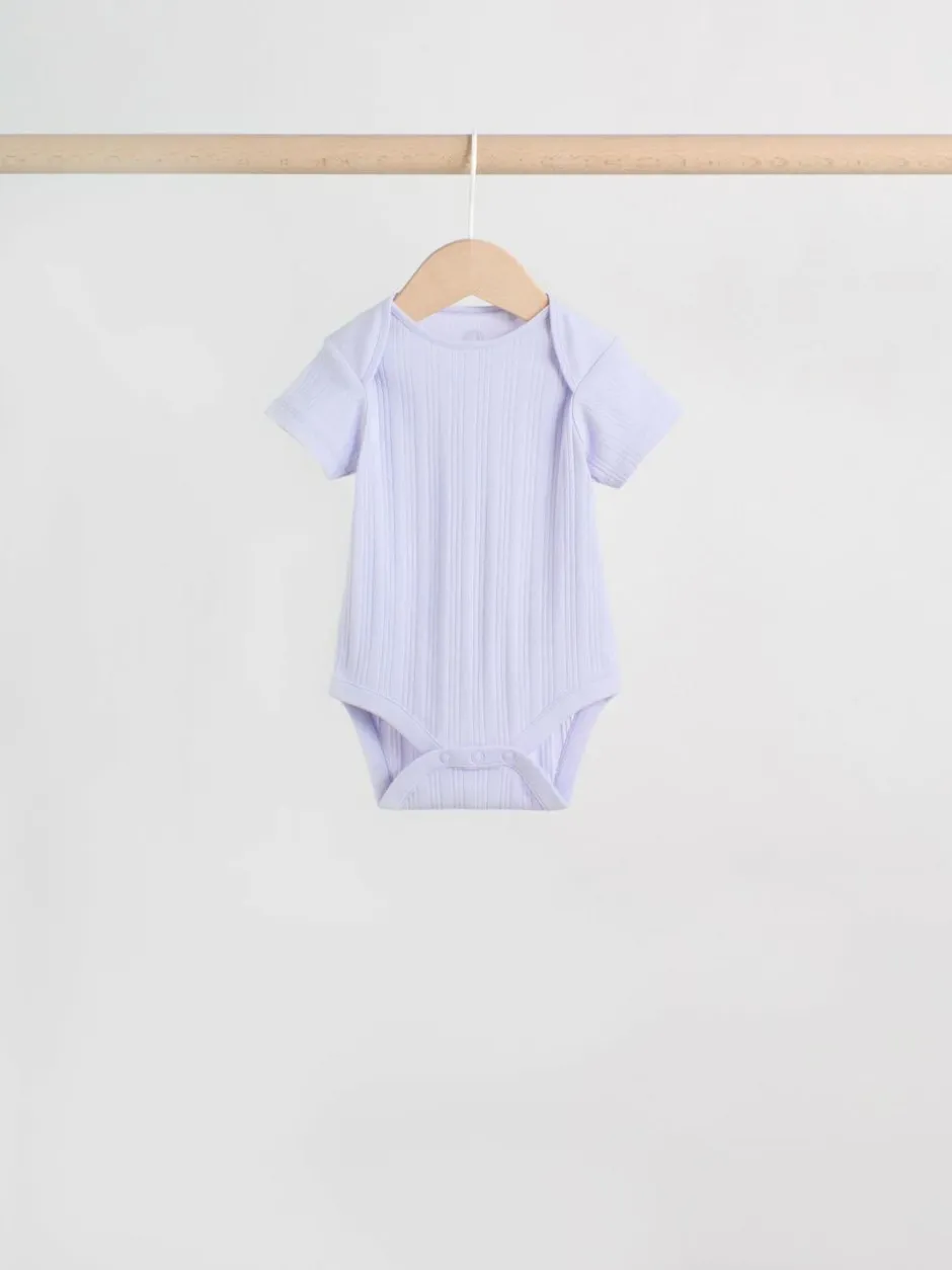 Next Multi Pastel 5 Pack Short Sleeve Baby Bodysuits Best