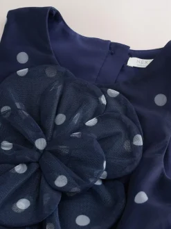 Next Flower Corsage Mesh Occasion Dress (3-16yrs) Navy Spot Sale