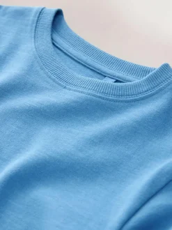 Next Pale Blue Regular Fit Long Sleeve Cosy T-Shirt (3-16yrs) Online
