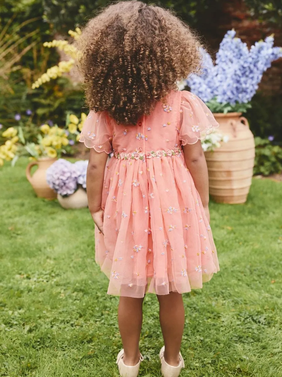 Next Embroidered Mesh Dress (3mths-8yrs) Peach Pink Discount