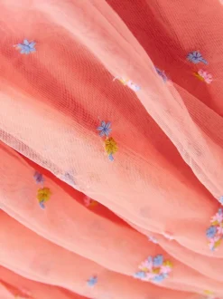 Next Embroidered Mesh Dress (3mths-8yrs) Peach Pink Discount
