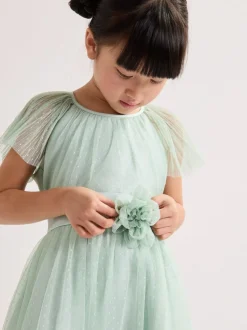Phase Eight Green Jasmine Tulle Dress Best