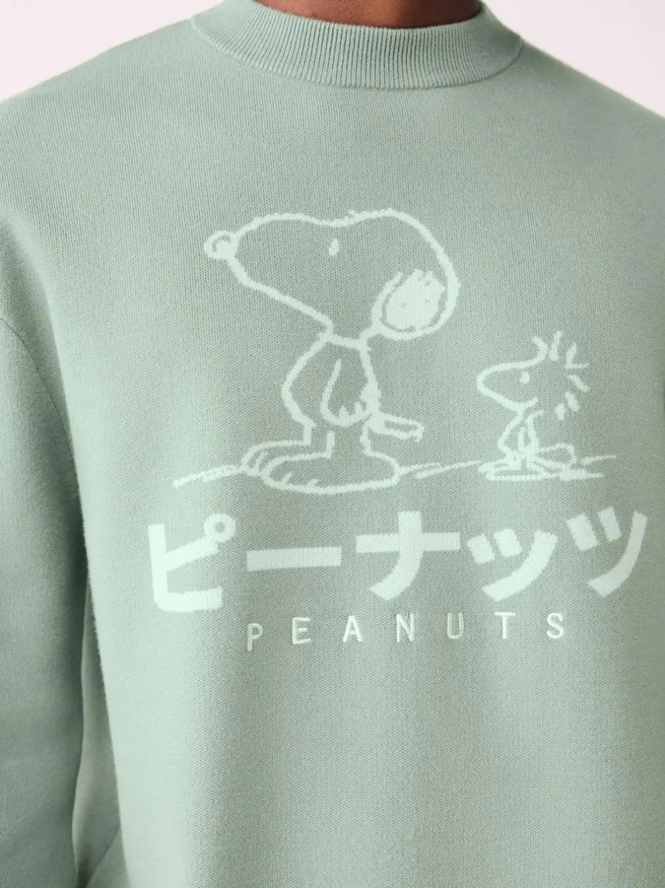 Next Sage Green Relaxed Fit Snoopy Graphic Print Crew Neck Jumper Hot